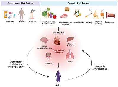 Metabolic diseases and healthy aging: identifying environmental and behavioral risk factors and promoting public health